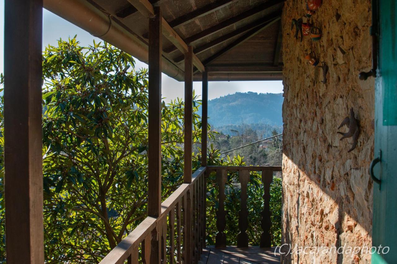 Villa La Pieve 카마이오레 외부 사진